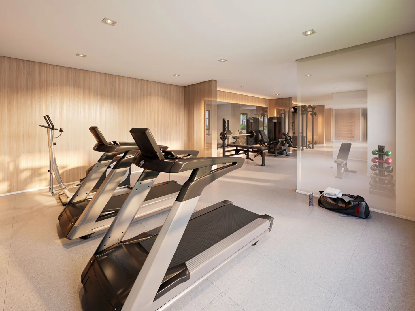 PERSPECTIVA ILUSTRADA DO FITNESS